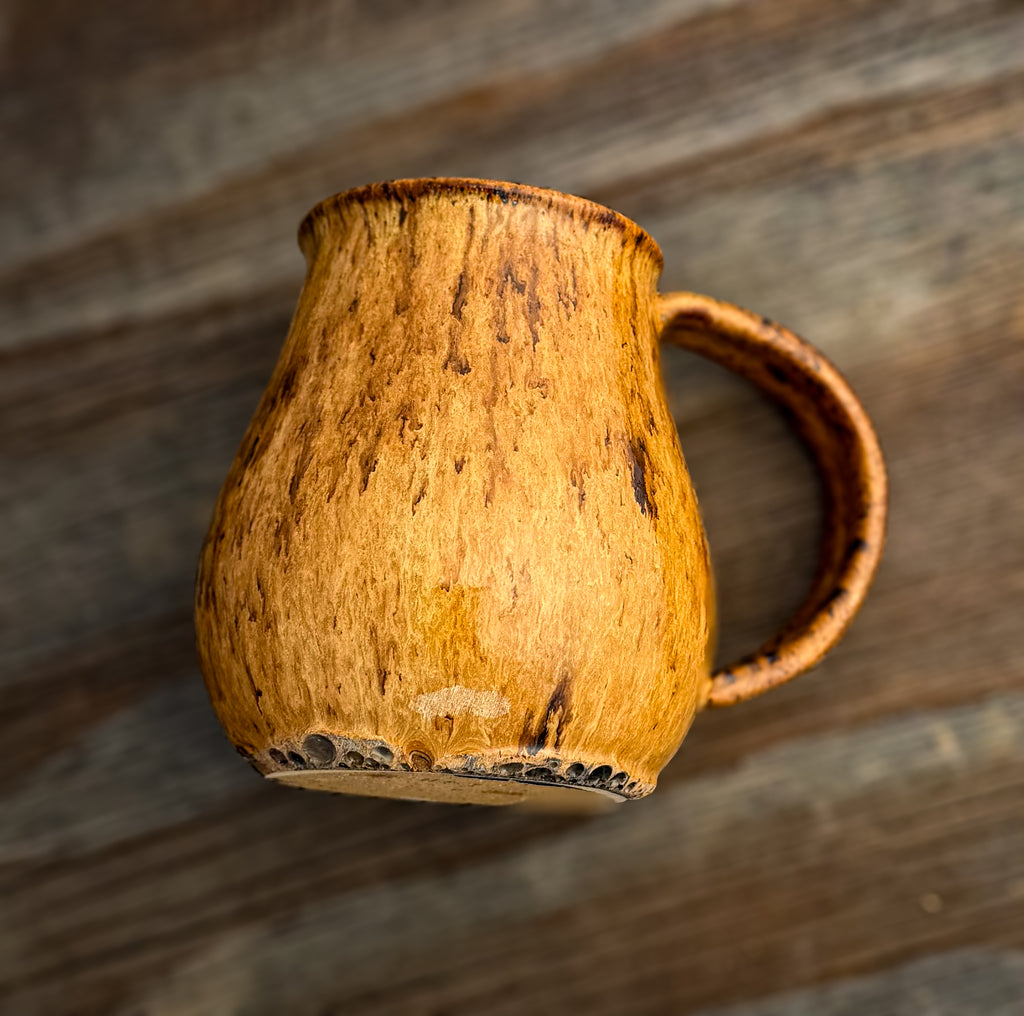 Black Bear Mug